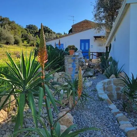 Rosmarino