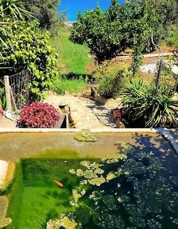 Rosmarino Holiday home *